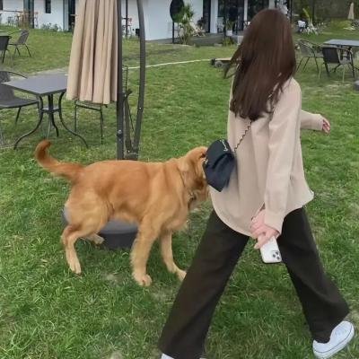 天涯沦落女